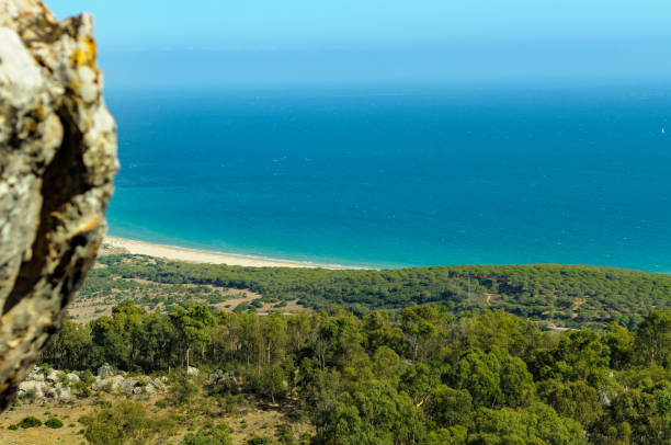 istock Bologna beach in Cadiz 1246342291
