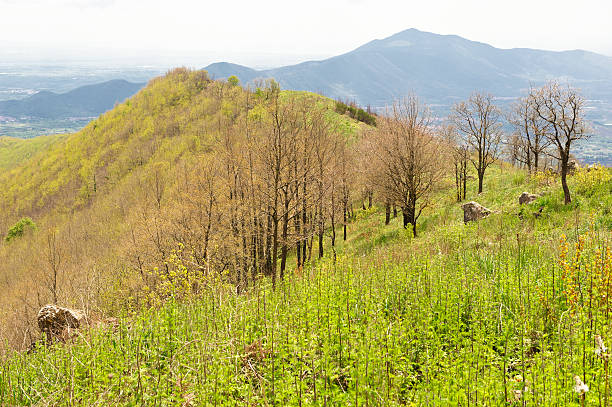 mount frascara during spring time. The ridge is actually the cone of an extinct cinder cone. Regional Park of Roccamonfina. province of caserta. campania. italy. europe.