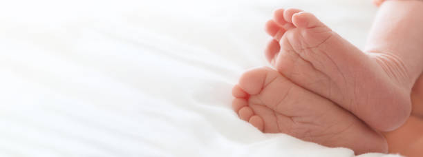 istock Banner with newborn legs, heels. Copy space. 1246362167