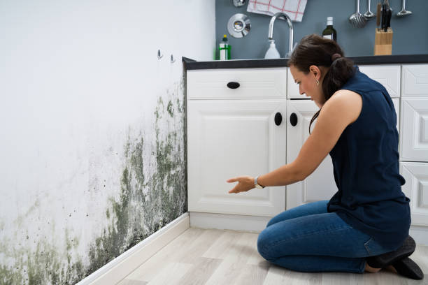 istock Woman Looking At Mold Wall Damage 1246363353