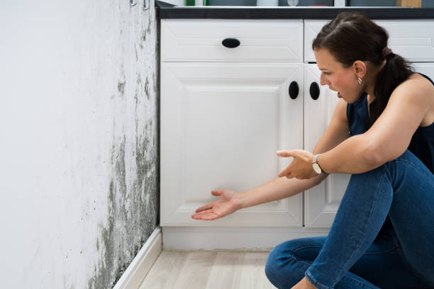istock Woman Looking At Mold Wall Damage 1246363354