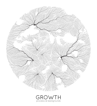 Vector generative branch growth pattern. Round texture. Lichen like organic structure with veins. Monocrome square biological net of vessels