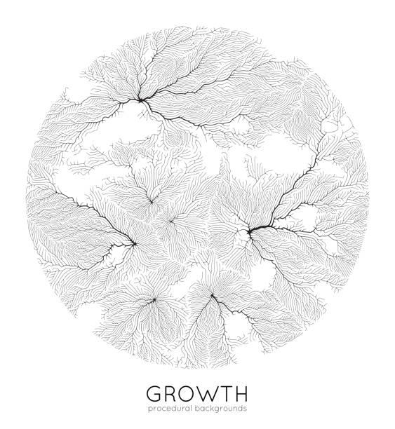 Vector generative branch growth pattern. Round texture. Lichen like organic structure with veins. Monocrome square biological net of vessels. Vector generative branch growth pattern. Round texture. Lichen like organic structure with veins. Monocrome square biological net of vessels leaf vein stock illustrations