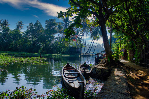 una vista panoramica delle barche sotto un cielo blu nelle backwaters situate nella città di allepey situata nello stato del kerala, india - monsone foto e immagini stock