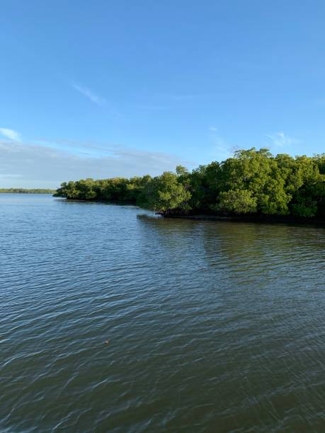 istock Florida and Sanibel Island Area 1246368189
