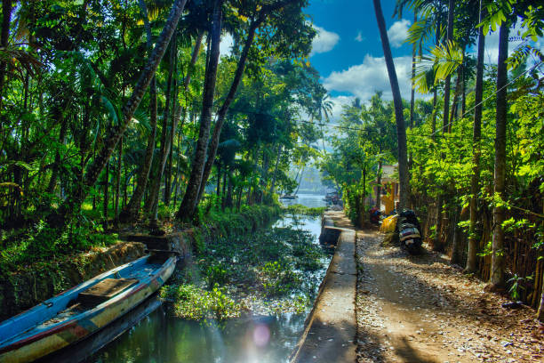 ein malerischer blick auf das boot in backwaters in allepey stadt im bundesstaat kerala, indien - allepey stock-fotos und bilder