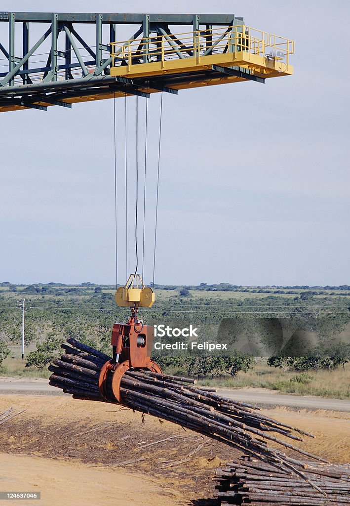 Timber Stack Crane Wood Crane Picking Up A Stack Of Pines Tree Logs Stock Photo - Download ...
