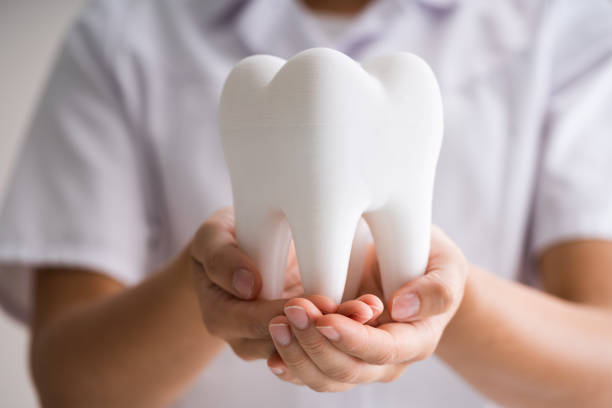 Dentist Woman Doing Cleaning And Tooth Whitening Dentist Woman Doing Cleaning And Whitening Tooth Treatment tooth in hand stock pictures, royalty-free photos & images