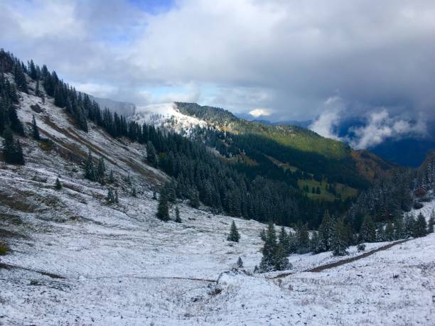 istock Walking in the German Alps 1246381535