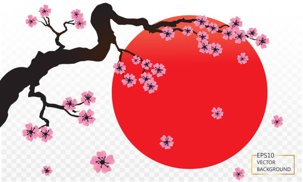 blühende hellrosa sakura-blüten - japanische blütenkirsche stock-grafiken, -clipart, -cartoons und -symbole