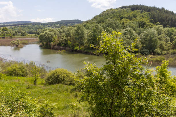 istock Landscape of Topolnitsa Reservoir, Bulgaria 1246386465
