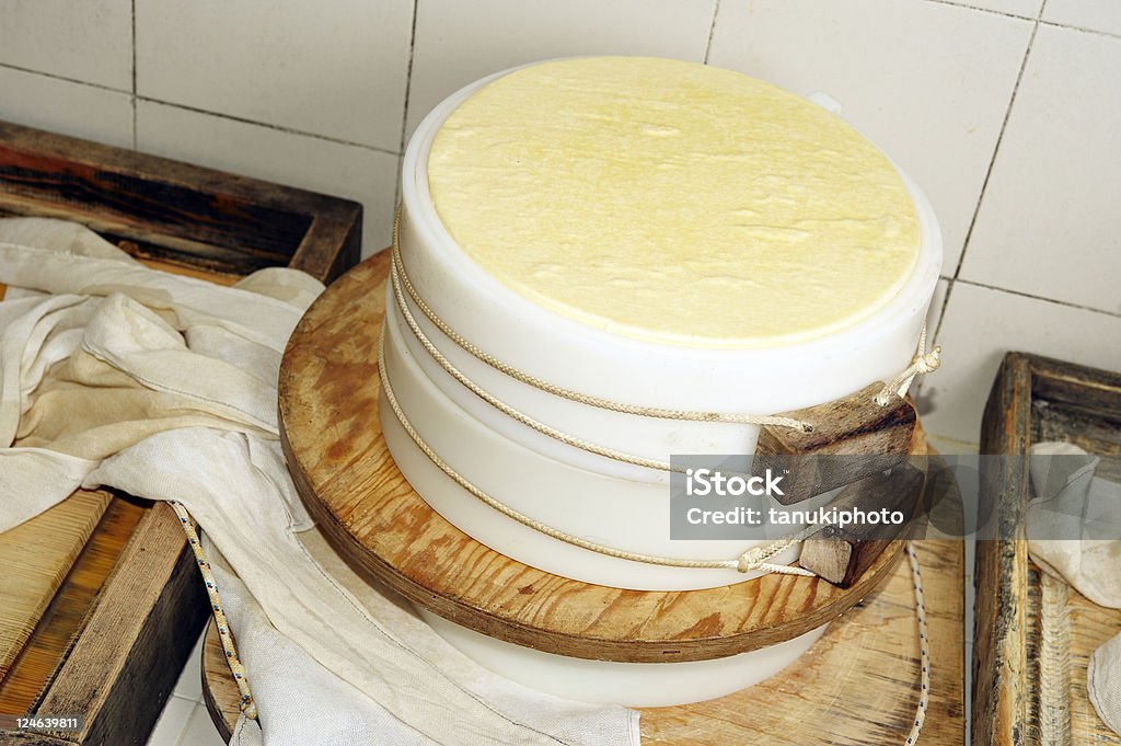 Making of Cow Cheese  Agriculture Stock Photo