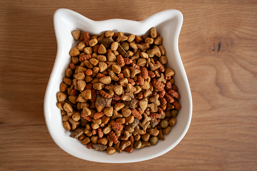 Bowl of dry food for cats