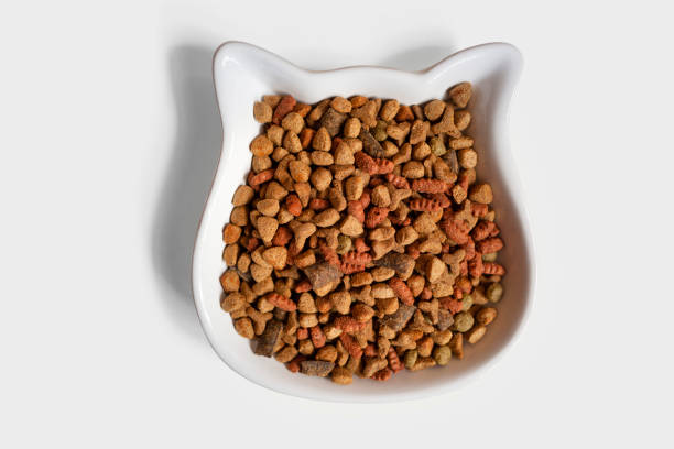 Bowl of dry food for cats Bowl of dry food for cats cat food stock pictures, royalty-free photos & images