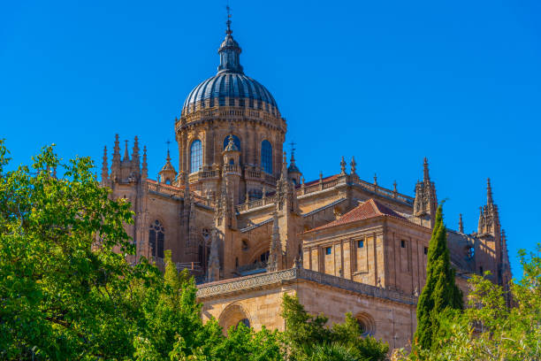 istock Cathedral of Salamanca, Spain 1246433696