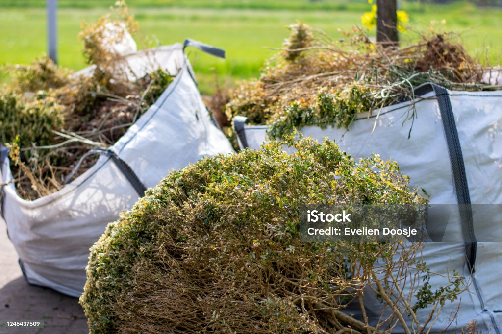 Big white bags filled with organic green garden waste after gardening. Local councils collecting green waste to process it into green energy and compost. Garbage Stock Photo