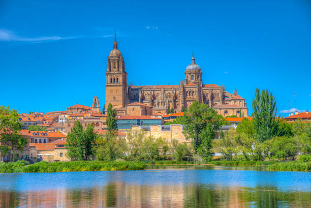 istock Cathedral at Salamanca reflected on river Tormes, Spain 1246442890