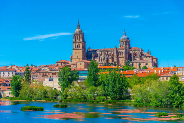 istock Cathedral at Salamanca reflected on river Tormes, Spain 1246443373