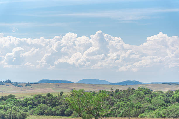 田舎の風景。ブラジル南部のパンパバイオーム。クムルニムは雨を形成する雲。 - cowboy blue meadow horizontal ストックフォトと画像