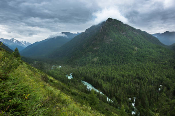 istock The view of Mountain Altay 1246466006