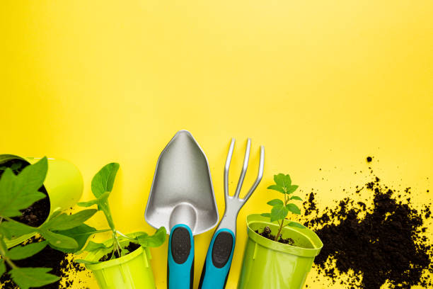 Gardening tools, seedlings and fertile soil on yellow background seen from above, top view. Gardening or planting concept.