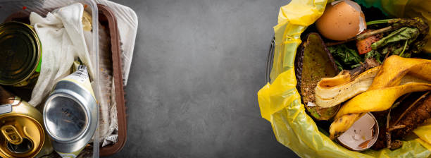 istock Organic food wastes 1246479129