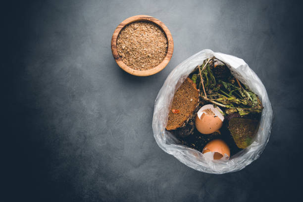 istock Organic food wastes 1246479137