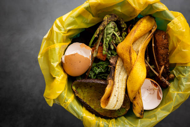 istock Organic food wastes 1246479139