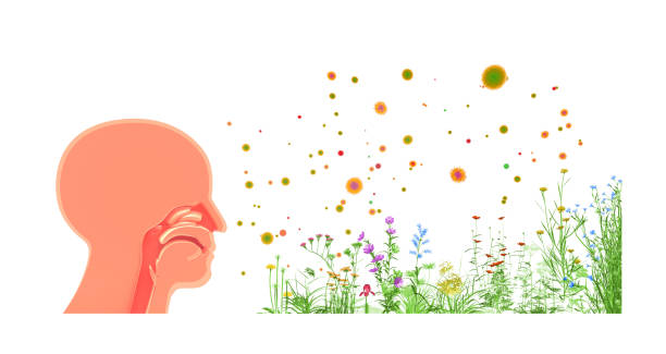 istock 3d illustration of spring plants and flowers and pollen that causes allergy. 1246492425