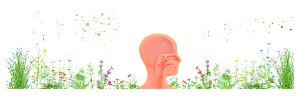 3d illustration of various colorful spring flowers and plants and allergy causing pollen.