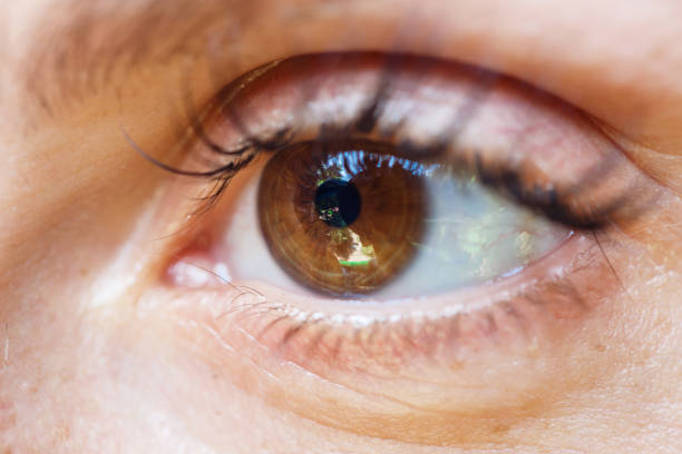 istock girl's brown eye with a reflection in it 1246494064