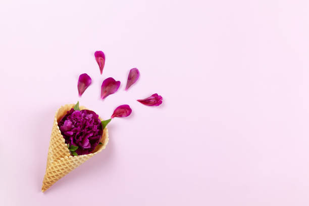 istock Peony flower in waffle cone on pastel lilac background, copy space. Minimal style flat lay. For greeting card, invitation. March 8, February 14, birthday, Valentine's, Mother's, Women's day concept. 1246509923