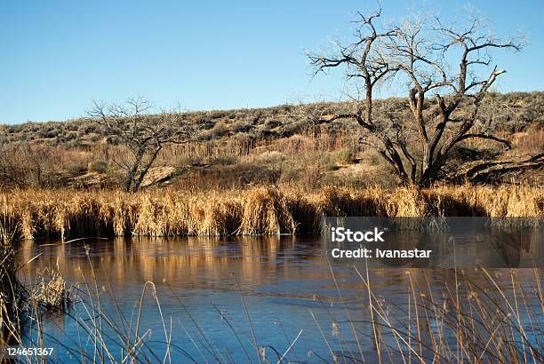 Humedales De Nuevo México Foto de stock y más banco de imágenes de Agua - Agua, Aire libre, Azul