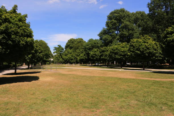 istock Sun and nature in a park in Cologne-Ehrenfeld 1246513783