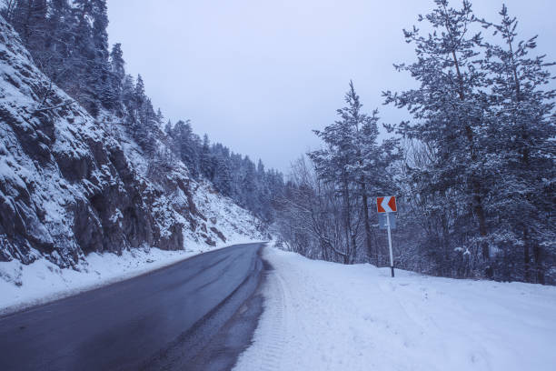 istock snowy road in winter landscape 1246544425