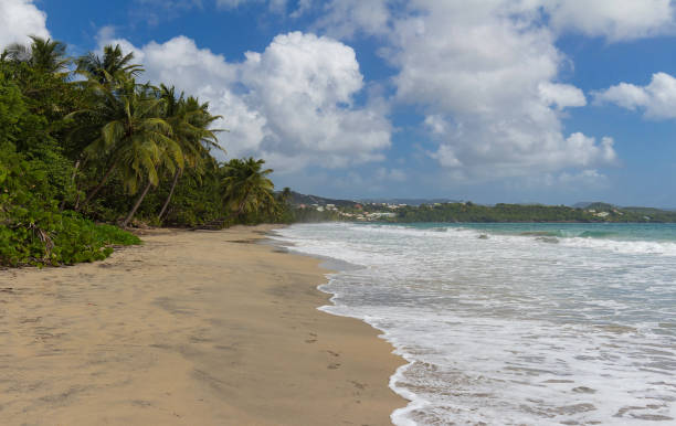 istock The Caribbean beach , Martinique island. 1246545200