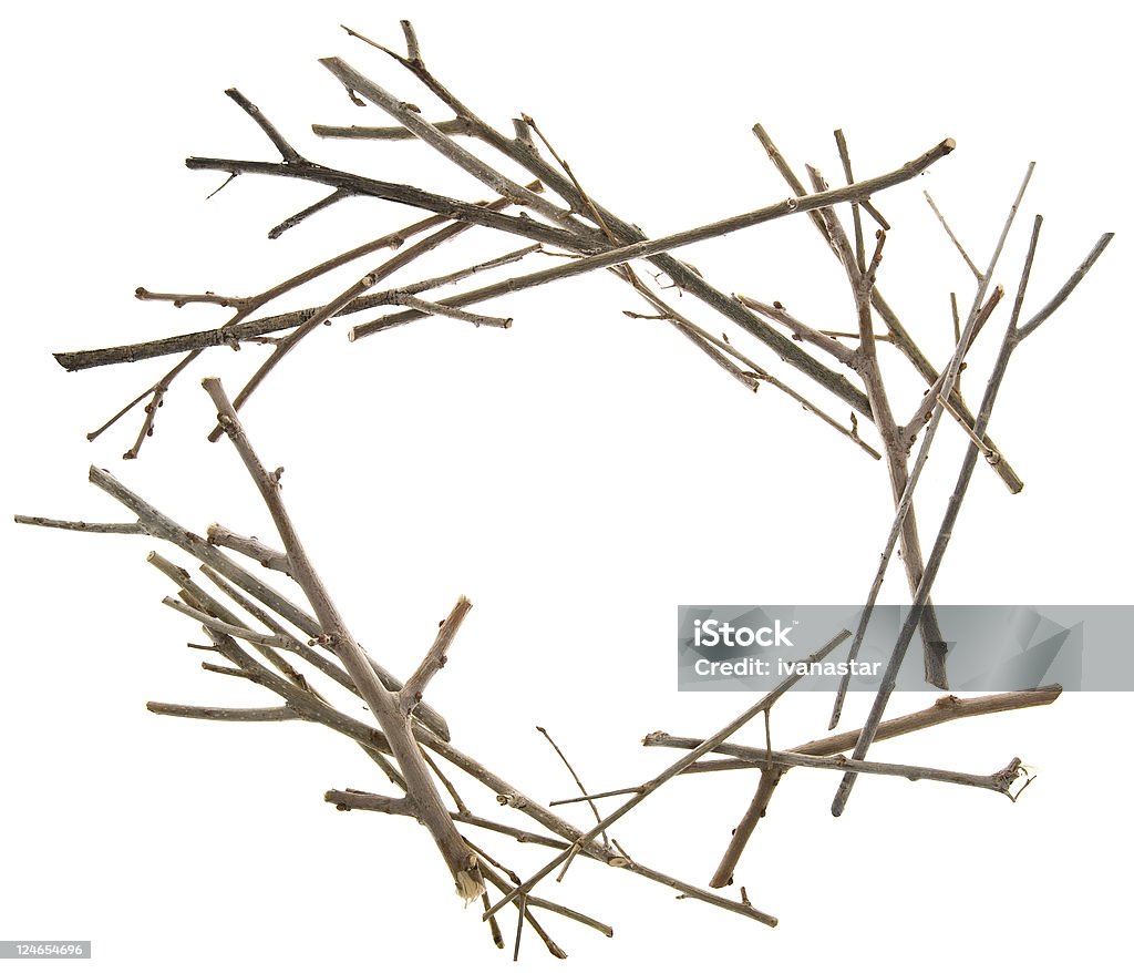 Twigs et adhérera image - Photo de Arbre libre de droits