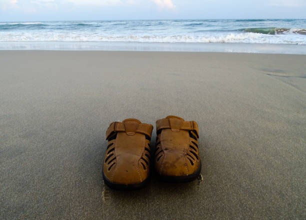 A Kiwiana Christmas background with all the elements for a Summer Holiday or Christmas background. A pair of Jandals and the iconic Pohutakawa which flowers just in time for the Christmas holidays; abandoned in the sand.
