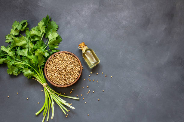 garrafa de vidro de óleo essencial de coentro com pó de coentro e folhas frescas de coentro na mesa rústica, conceito de óleo de massagem de aromaterapia (coriandrum sativum ) - cilantro seed coriander seed spice - fotografias e filmes do acervo