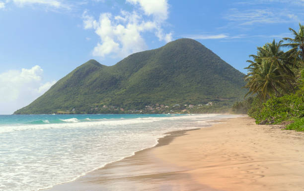 istock The Caribbean beach , Martinique island. 1246559956