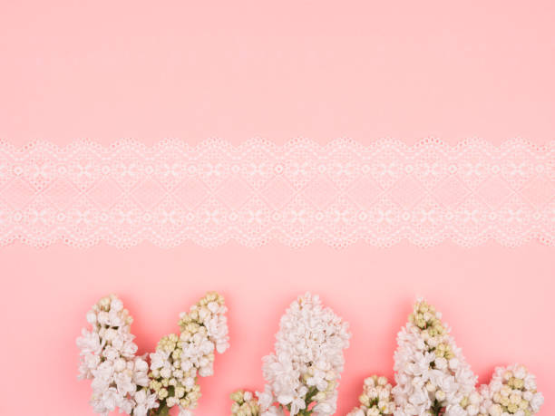 istock White lilac and lace on pink background. 1246560193