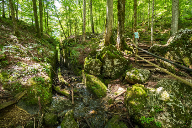 graben im felsen, vor jahrhunderten von flößern gemacht, tief im urwald rund um den legendären kammersee und toplitzsee, österreich - rainforest austria nature tree stock-fotos und bilder