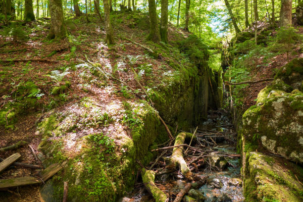 graben im felsen, vor jahrhunderten von flößern gemacht, tief im urwald rund um den legendären kammersee und toplitzsee, österreich - rainforest austria nature tree stock-fotos und bilder