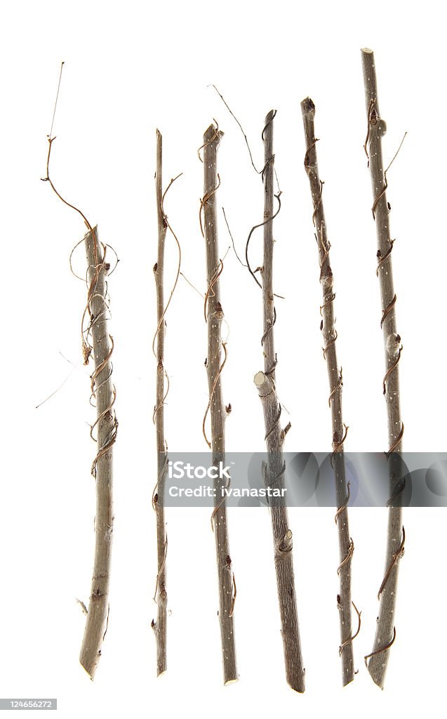 O Twigs, de cenoura e filiais isolada no branco - Foto de stock de Figura para recortar royalty-free