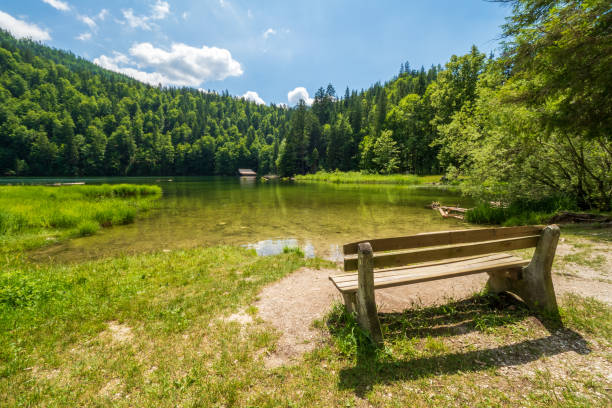 istock Empty bench inviting hikers to sit down and enjoy the view and tranquility around the legendary Lake Toplitz, Ausseer Land region, Styria, Austria 1246569740