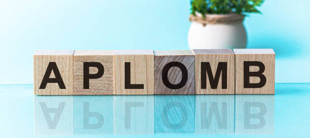 istock APLOMB word made with building blocks, blu background 1246574245