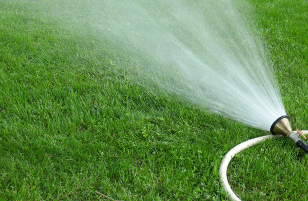 istock Irrigation of the green grass with sprinkler system 1246594079