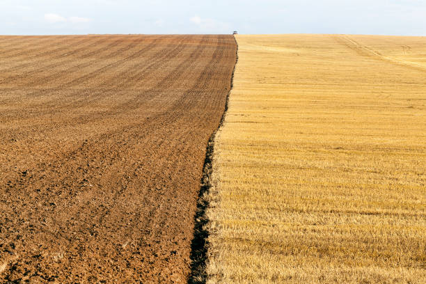 istock a half plowed agricultural field 1246608911