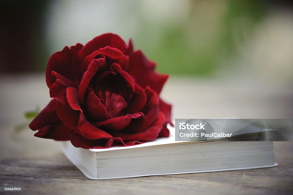 Biblia & rosas rojas - Foto de stock de Biblia libre de derechos