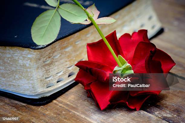 성경 빨간 장미 0명에 대한 스톡 사진 및 기타 이미지 - 0명, 기독교, 꽃-식물